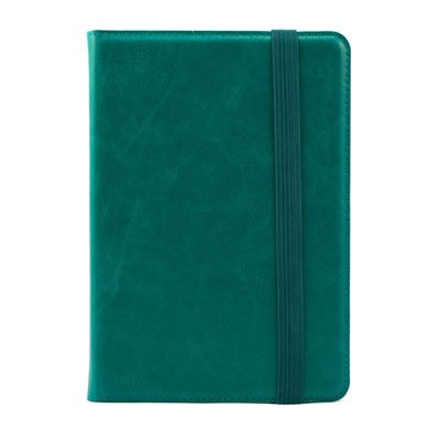 Green Case for Kindle, Kindle Paperwhite and Kindle Touch (General merchandise)