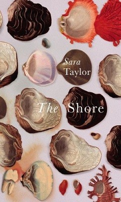 The Shore (Hardback)