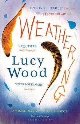 Weathering (Paperback)