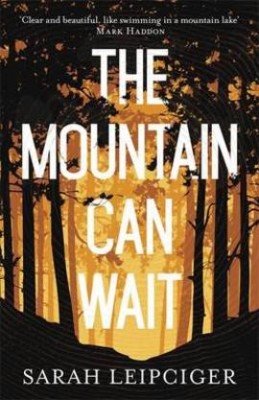 The Mountain Can Wait (Hardback)