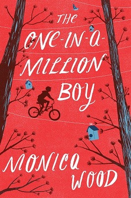 The One in a Million Boy (Hardback)