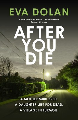 After You Die (Hardback)